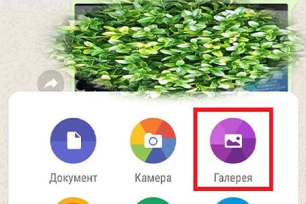 Кракен тор ссылка онион