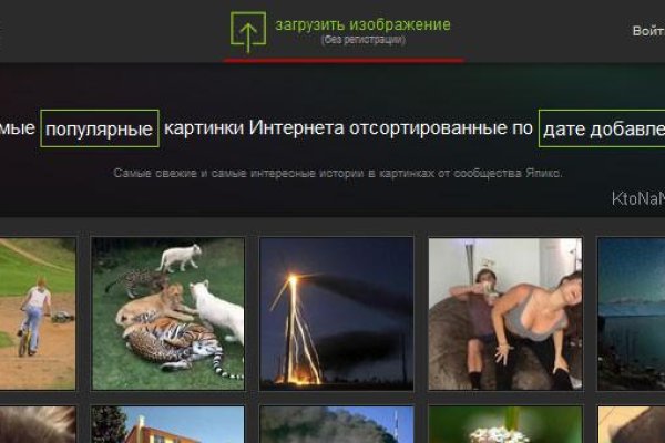 Логин и пароль от кракен
