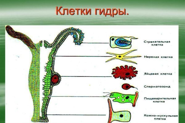 Кракен at