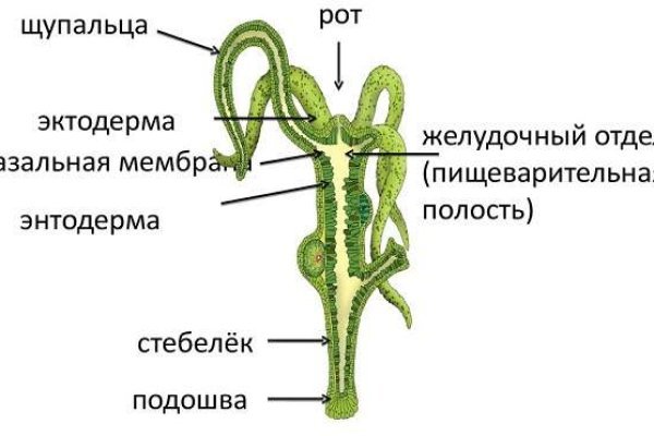 Кракен зеркало