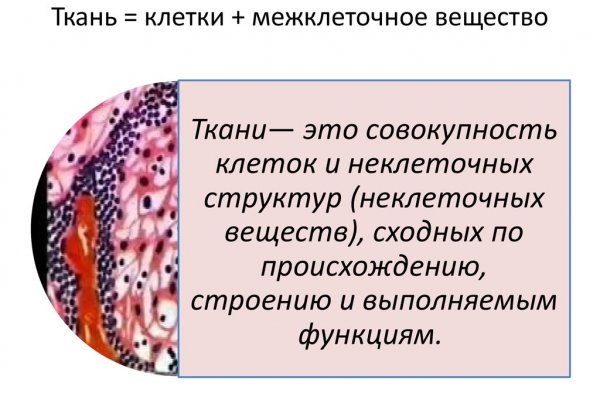 Мега кракен блэк спрут