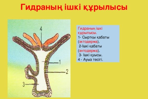 Что такое кракен сайт