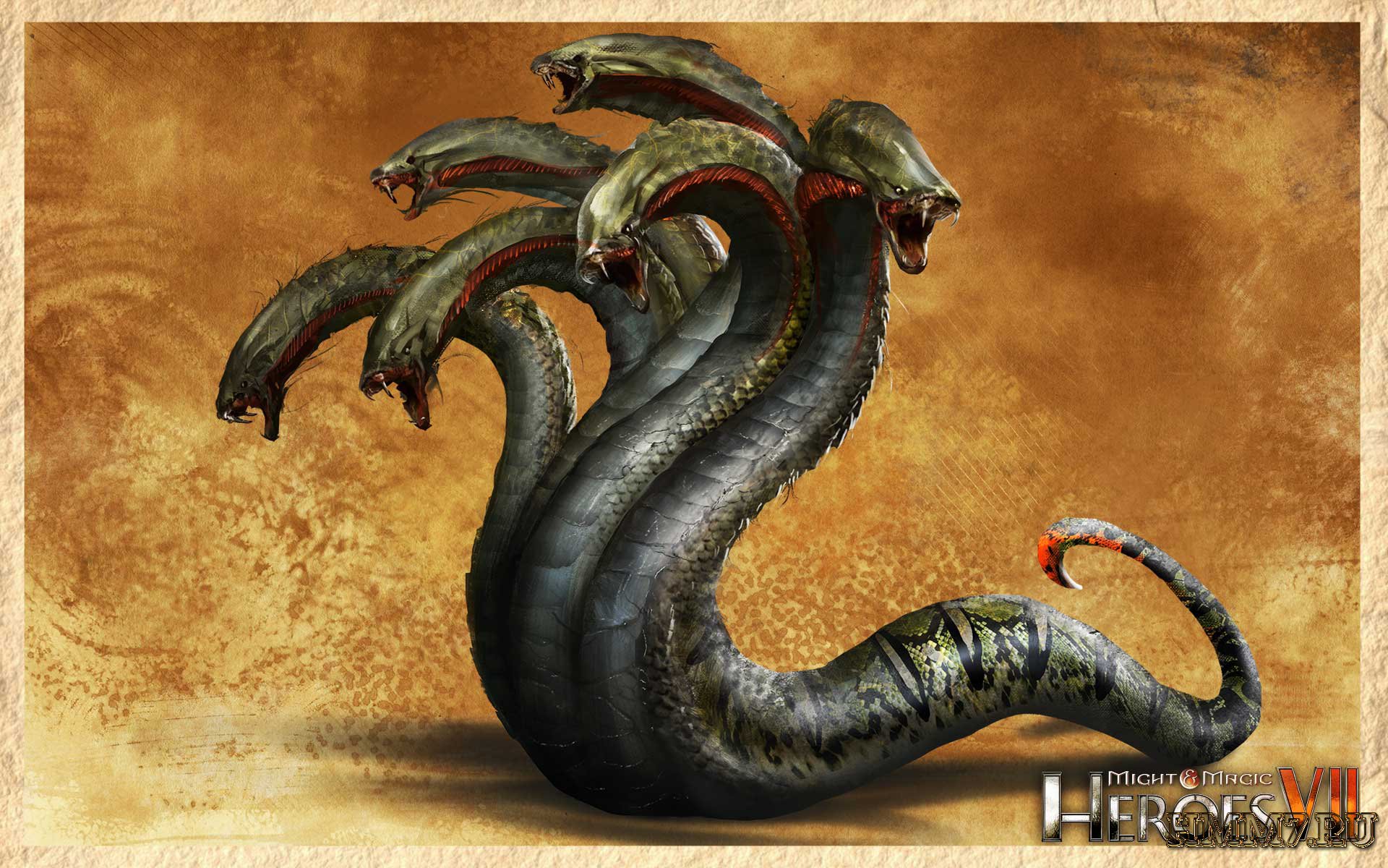 Kraken place