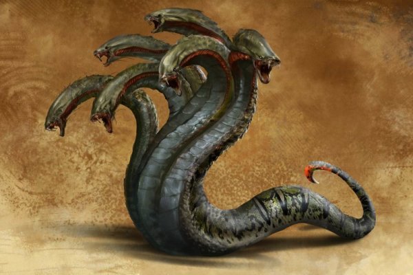 Kraken 12 at