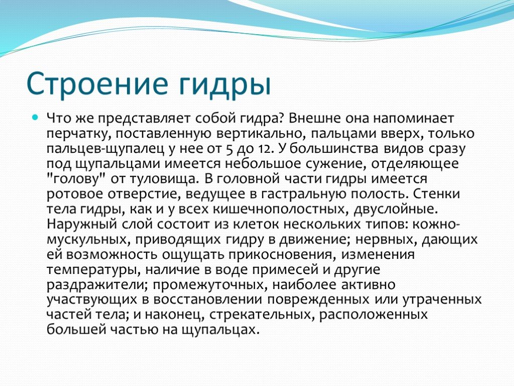 Даркнет официальный сайт вход