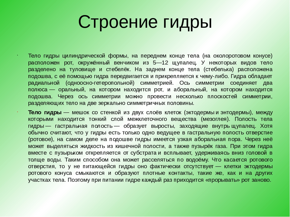 Как восстановить аккаунт в кракен